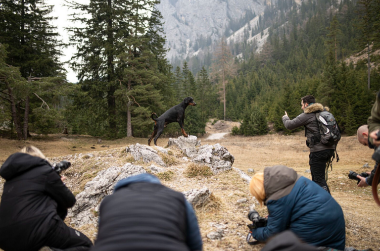 Hundefotografie Workshop in Graz